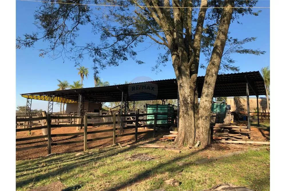 Venta de 583 Hectáreas en el Dpto. de Paraguarí — foto 3