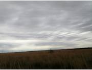 VENDO 142 HECTAREAS EN SAN JOSE DE LOS ARROYOS