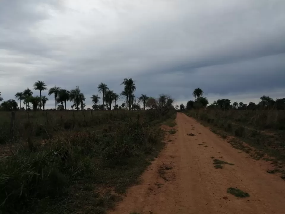 VENDO 142 HECTAREAS EN SAN JOSE DE LOS ARROYOS — foto 2