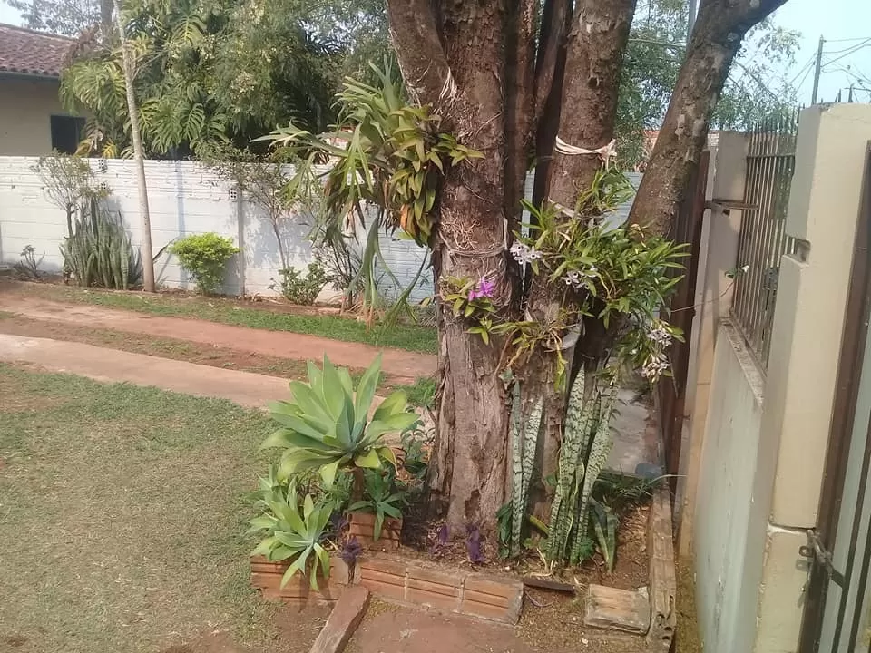 Vendo casa en el Área 4 - Ciudad del Este — foto 3