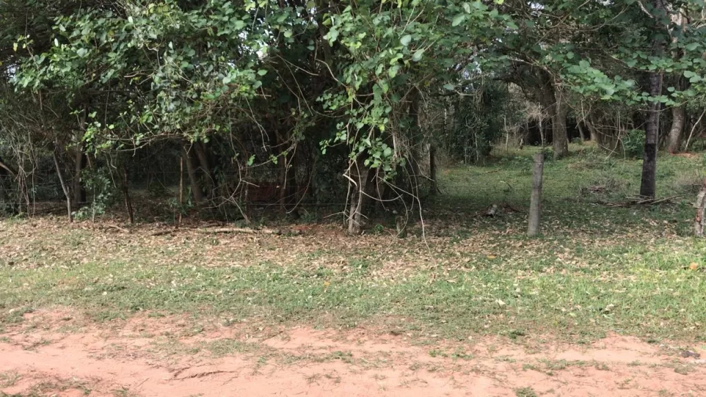 Terreno en venta ruta Caacupe -Atyra — foto 2
