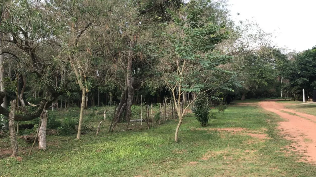 Terreno en venta ruta Caacupe -Atyra — foto 3