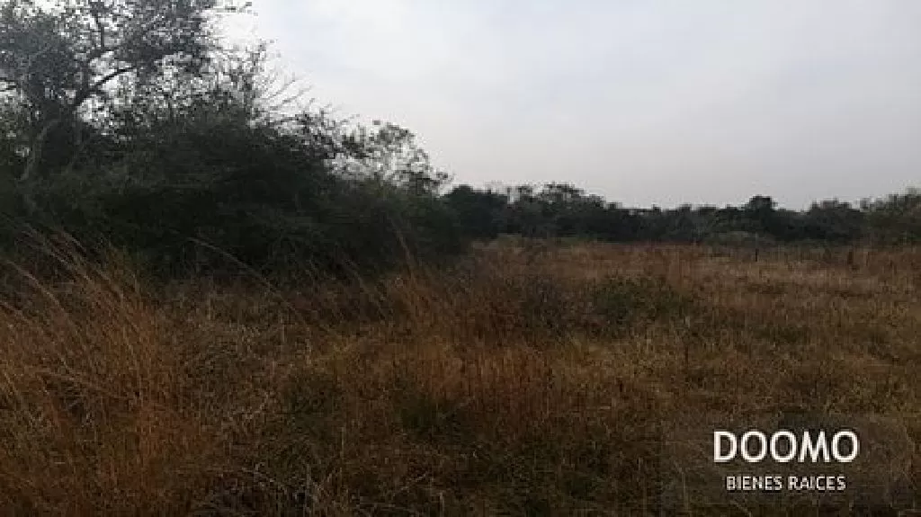 En venta 2 terrenos 720m Ruta Luque SanBer — foto 2