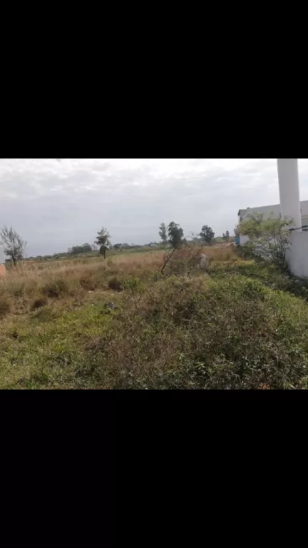 Terreno de 1920 m2 para empresas o particulares — foto 3