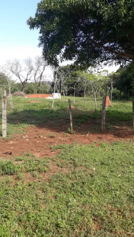 Propiedad de 20m x 50m — foto 3