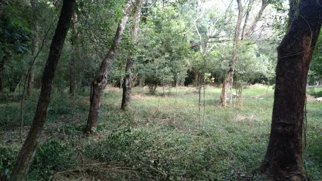 1.3 ha EN MELGAREJO — foto 2