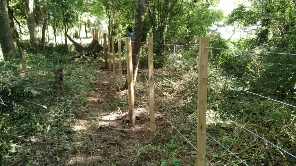 1.3 ha EN MELGAREJO — foto 3