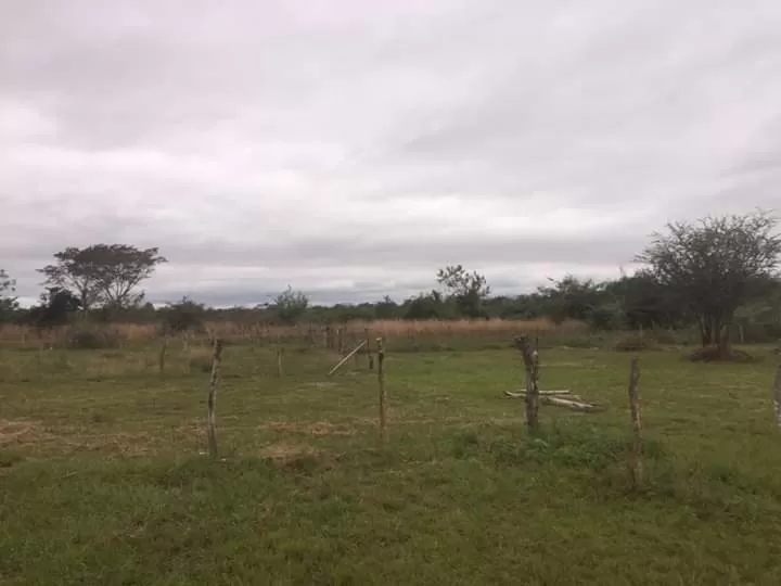 VENDO DOS TERRENOS EN LUQUE ZONA TARUMANDY CAMINO A SAN BERNARDINO COD 2422 — foto 2