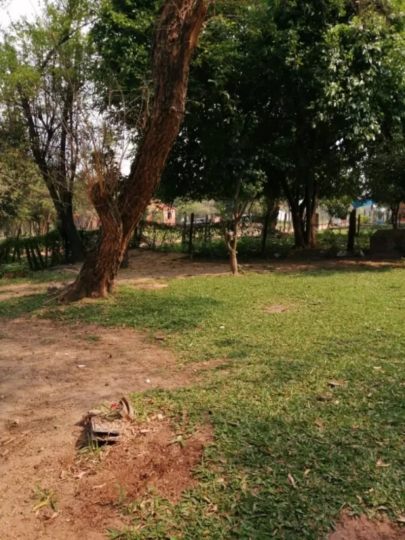 VENDO HERMOSO TERRENO EN LIMPIO — foto 2