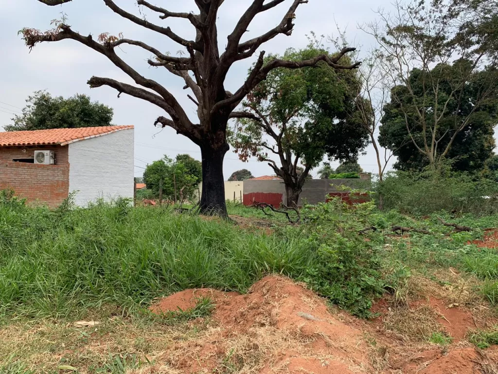 Vendo terreno en Villa Anita Ñemby — foto 3