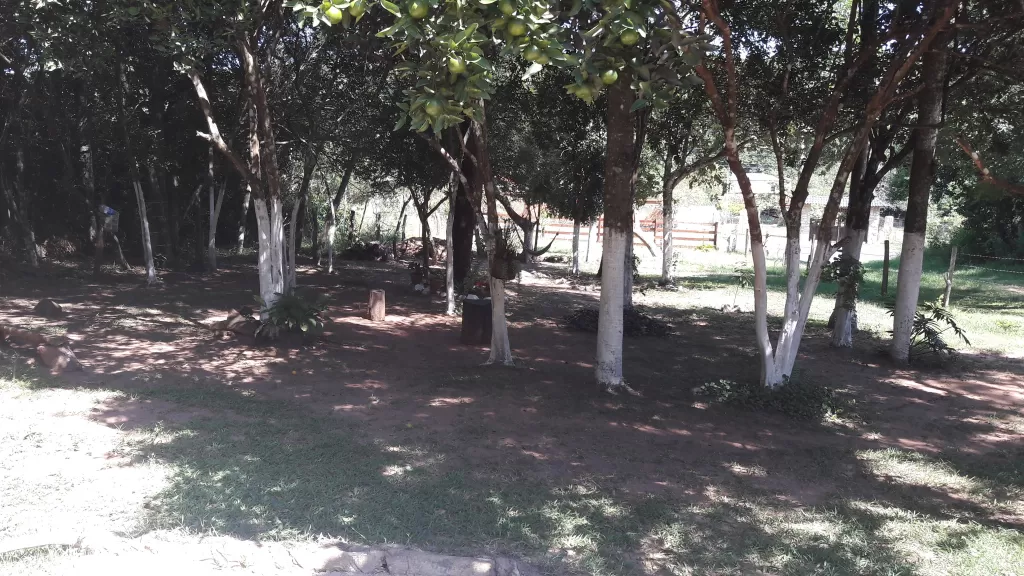 Vendo en Oferta ubicación única. — foto 2