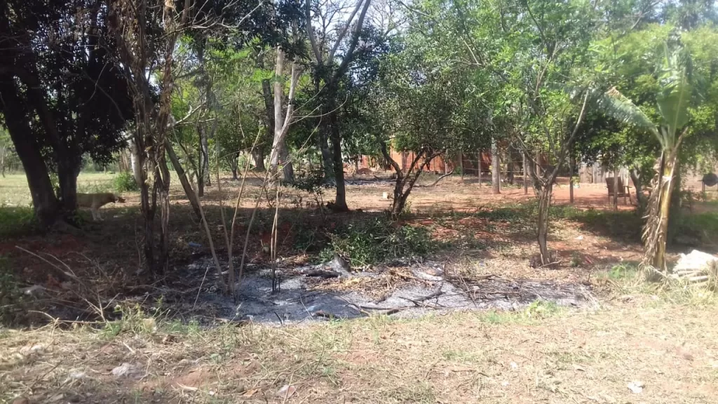 URGENTE REMATO ESTE LOTE — foto 2