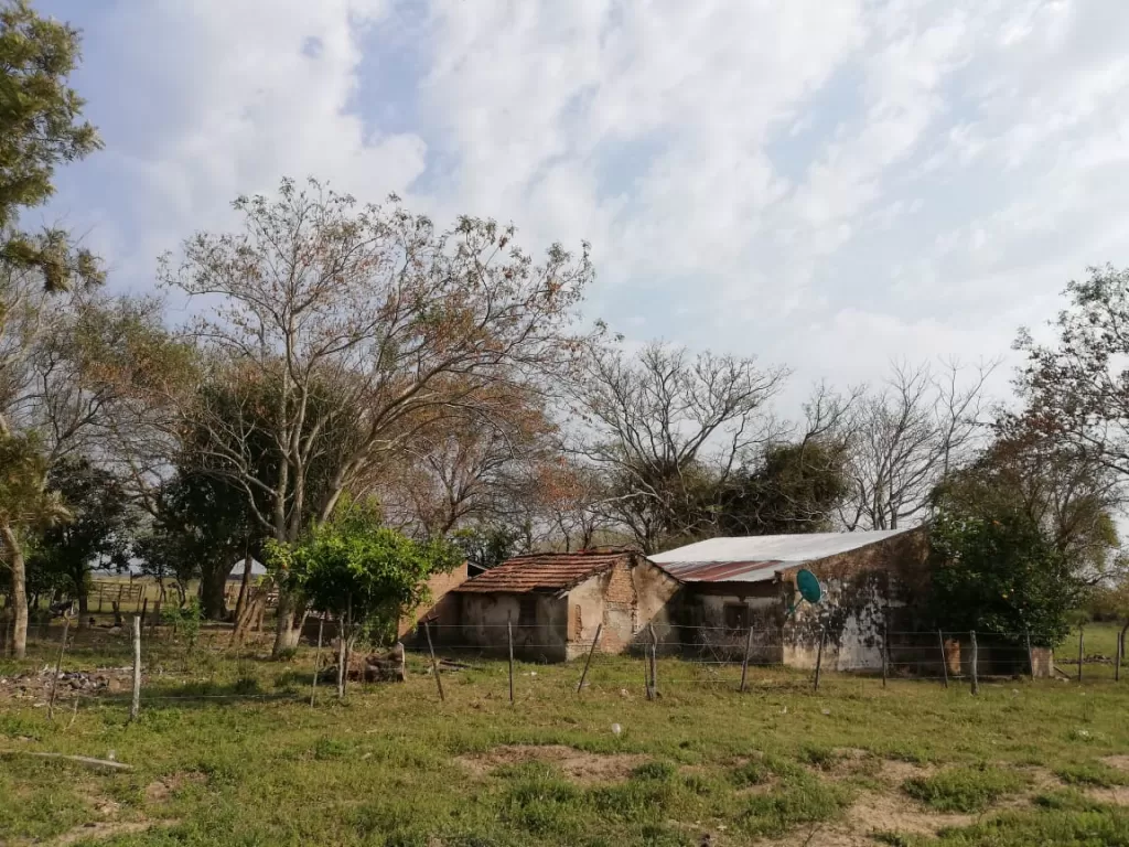 Vendo 210 hectáreas en Humaita. Oferta única. — foto 2