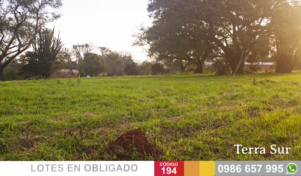 LOTES EN PLENO CENTRO DE OBLIGADO, COMODA FINANCIACION — foto 2