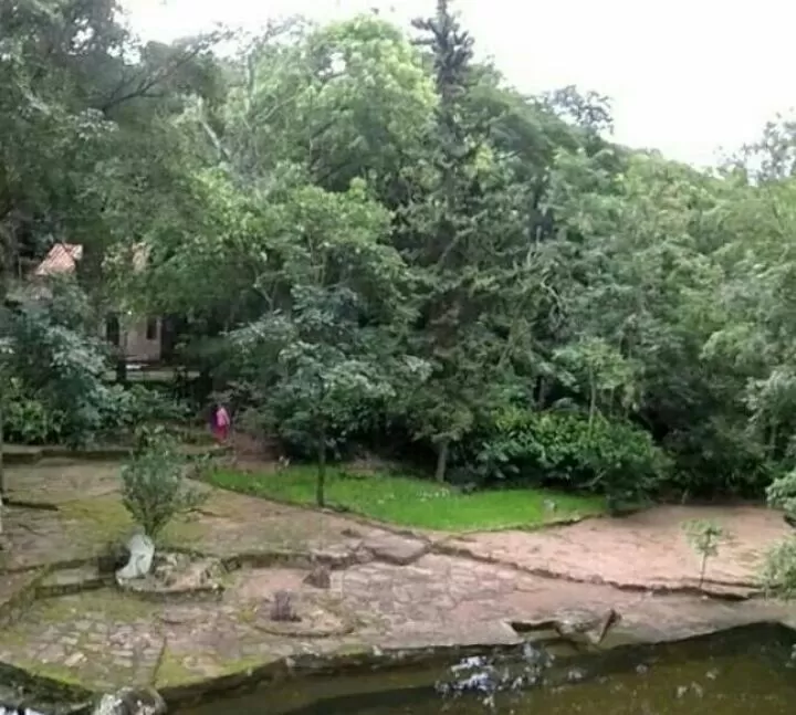 VENDO HERMOSA QUINTA EN PARAGUARI ZONA DEL MBATOVI DE 8 HAS — foto 2