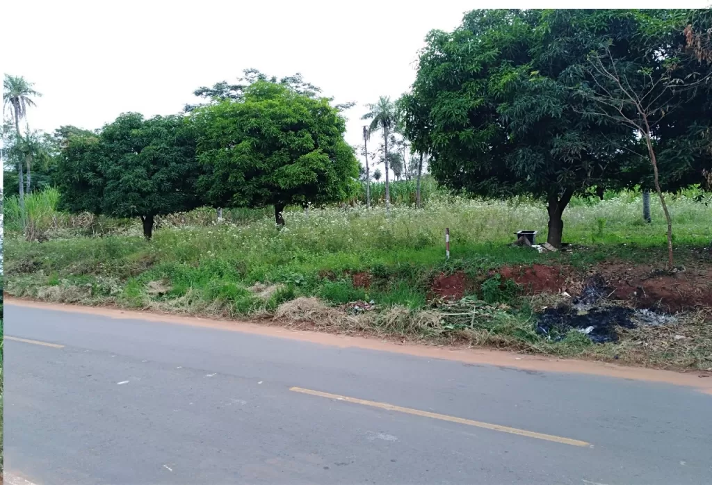 Terreno en caacupemi aregua — foto 3