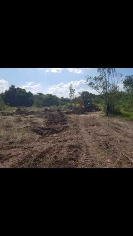 Vendo 10 lotes unidos a 1000 mts de la Ruta 3 frente a Surubi.i — foto 3