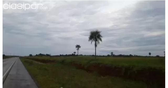 VENDO TERRENO DE 62 HECTÁREAS SOBRE RUTA 13 ZONA YHU CAAGUAZU!! — foto 2