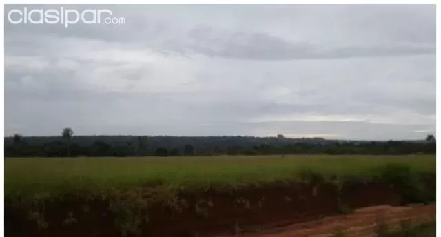 VENDO TERRENO DE 62 HECTÁREAS SOBRE RUTA 13 ZONA YHU CAAGUAZU!! — foto 3