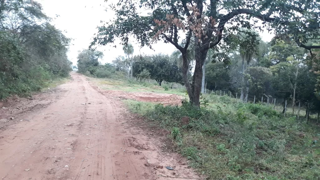 Vendo 6.5 Hectáreas en Emboscada-Cordillera — foto 2