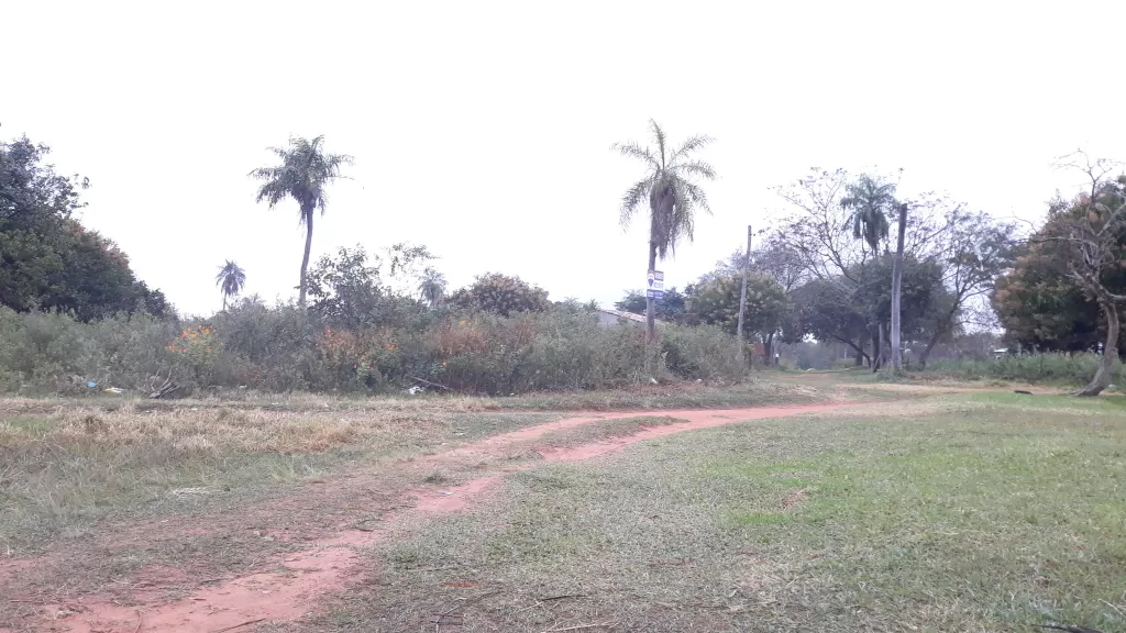 Vendo Dos Terrenos Juntos en Limpio — foto 2