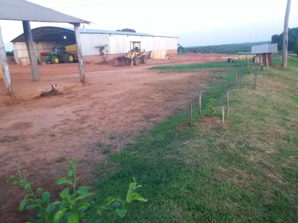 VENDO PROPIEDAD AGRICOLA DE 950 HECT. EN CURUGUATY — foto 2