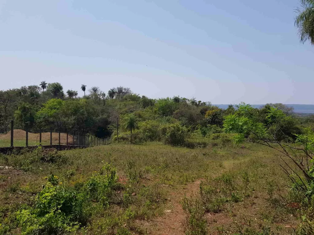 Vendo 2.3 has en Aregua con vista al largo Ypacaraí y la cordillera de San Bernadino — foto 3