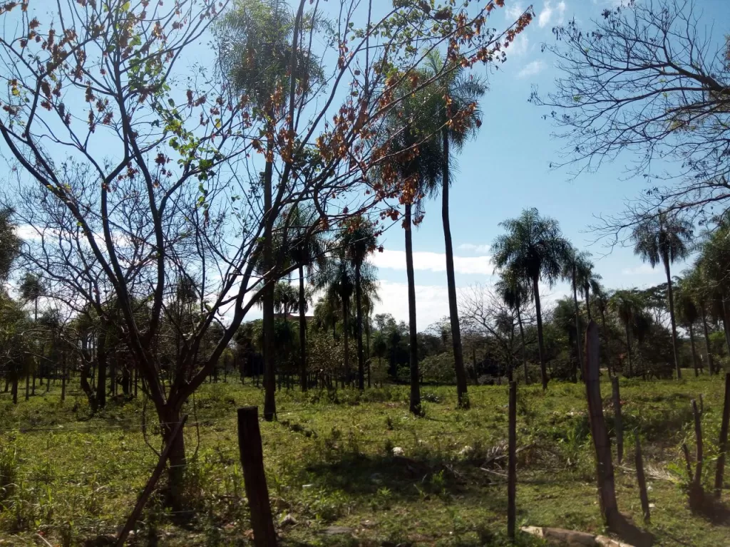 CAACUPE, CORDILLERA: 27.700 M2 IDEALES P DESARROLLOS INMOBILIARIOS, 380.000 USD. — foto 2