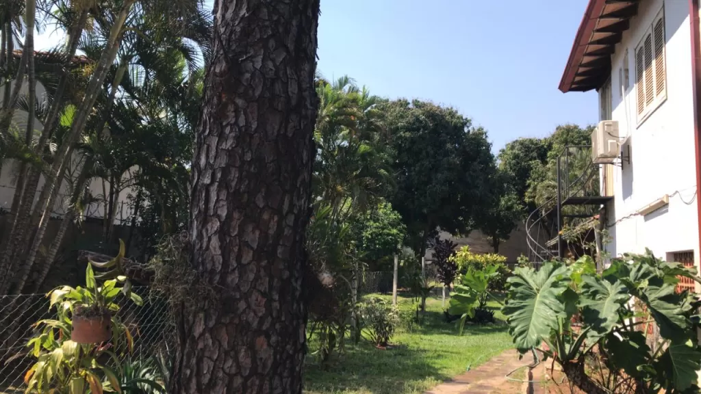 INMOBILIARIA VENDE CASA a una cuadra de la Av. Artigas, Zona Hospital Geriátrico del IPS. — foto 3