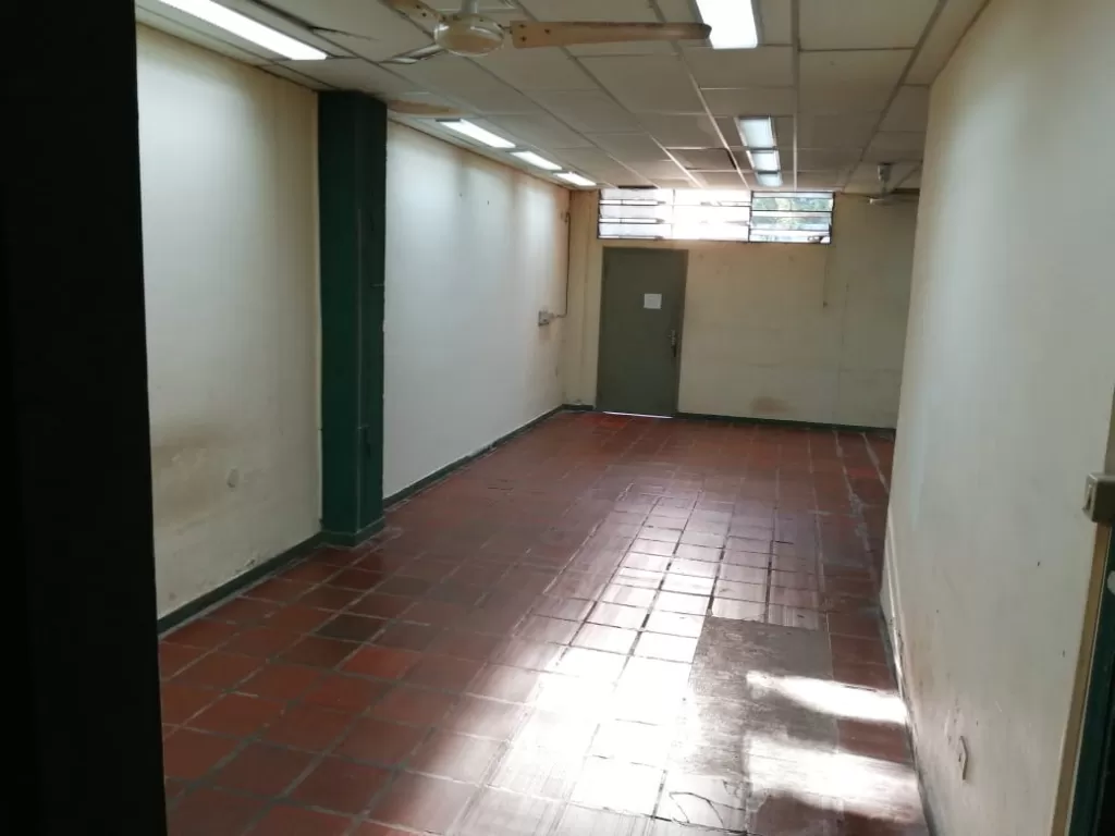 DEPOSITO DE DOS PISOS EN PLENO MCAL LOPEZ Y GRAL SANTOS 744m2 — foto 3