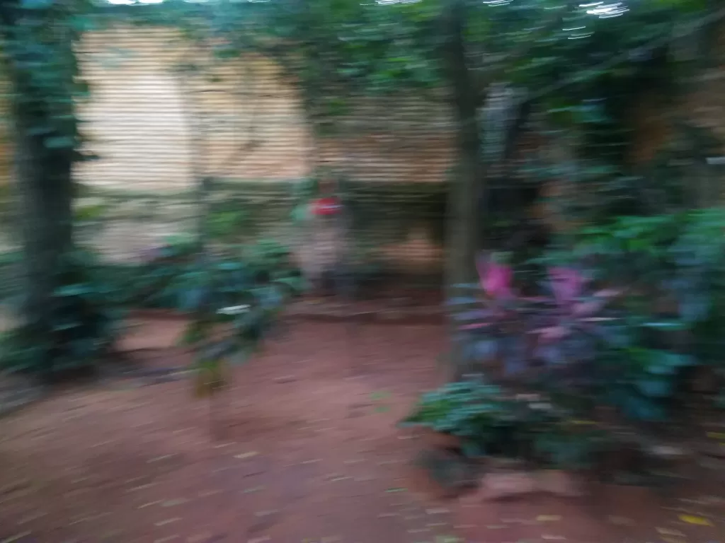 VENDO CASA EN LA CIUDAD DE SAN LORENZO — foto 2