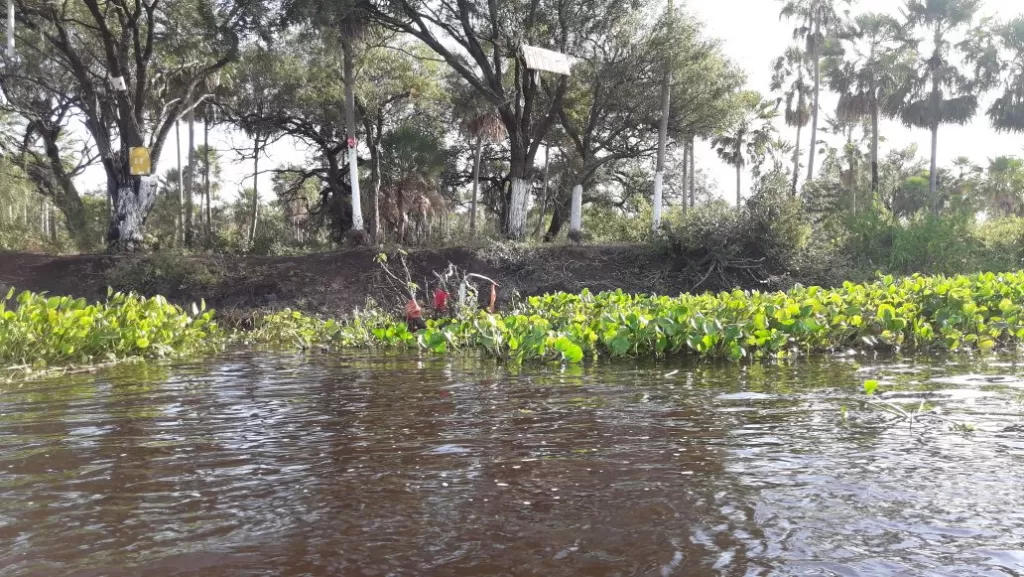 CARMELO PERALTA, ALTO PARAGUAY: IDEAL P PUERTOS MARAVILLOSAS HECTÁREAS. — foto 2