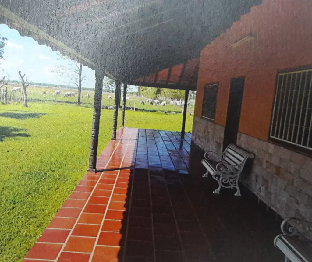 SAN JOSE DE LOS ARROYOS, CAAGUAZÚ: 1.000 HAS + ARROYOS + PASTURA + VIVIENDA, OPORTUNIDAD. — foto 2