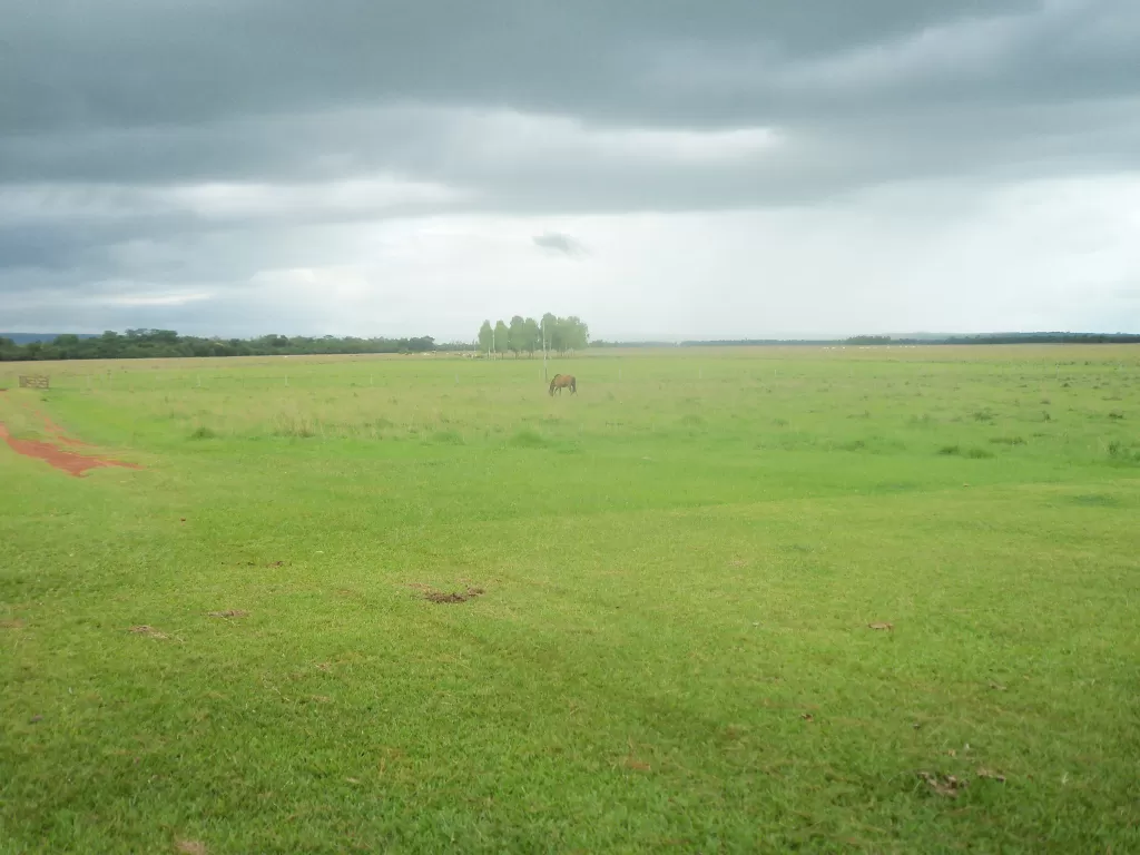 CAAZAPÁ SOBRE RUTA ASFALTADA VENDO 150 HAS ZONA MACIEL — foto 2
