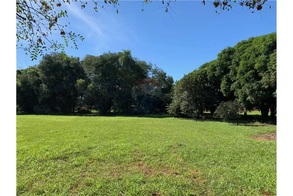 Vendo terreno de 36.650 m2 en Z. Norte Fernando 5,500,000 USD — foto 3