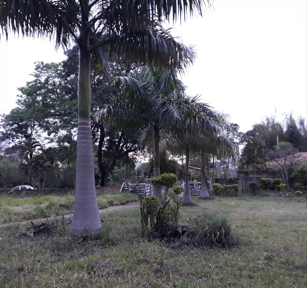 Vendo Terreno en Luque zona CIT — foto 2