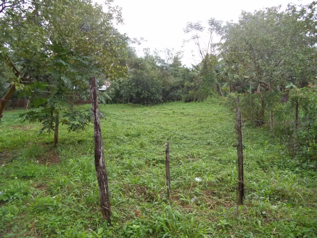 Oferta de terreno en Itagua — foto 2