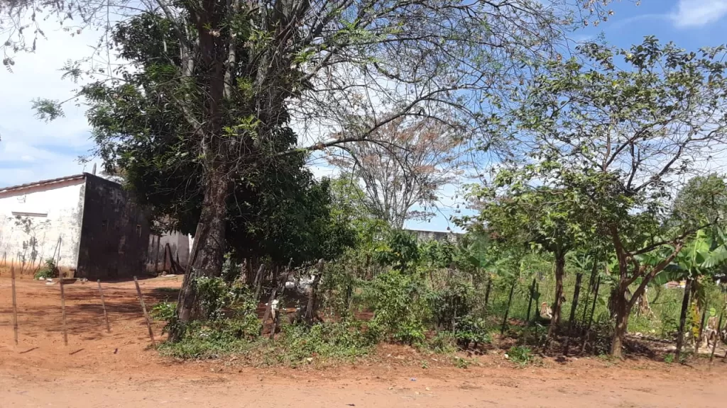 REMATO 3.794 M2 A CUADRAS DEL CENTRO DE SAN LORENZO — foto 2