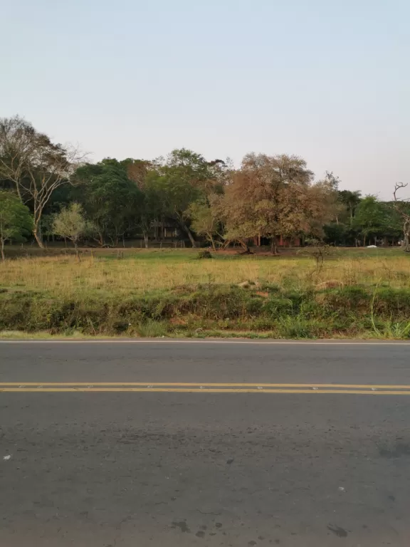 VENDO HERMOSO TERRENO EN LUQUE SOBRE RUTA — foto 2
