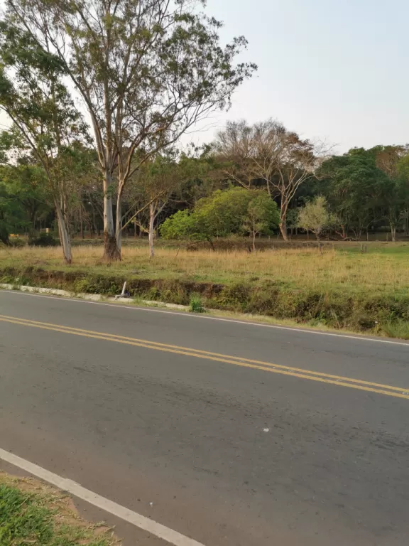 URGENTE!!!! VENDO HERMOSO TERRENO EN LUQUE SOBRE RUTA — foto 3