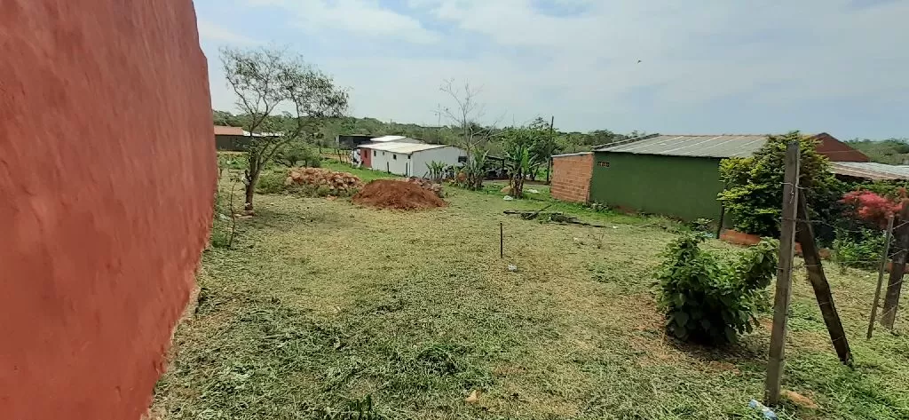 Limpieza de Terrenos Baldíos — foto 3