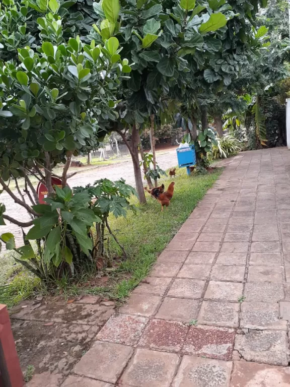 Vendo esta casa — foto 3