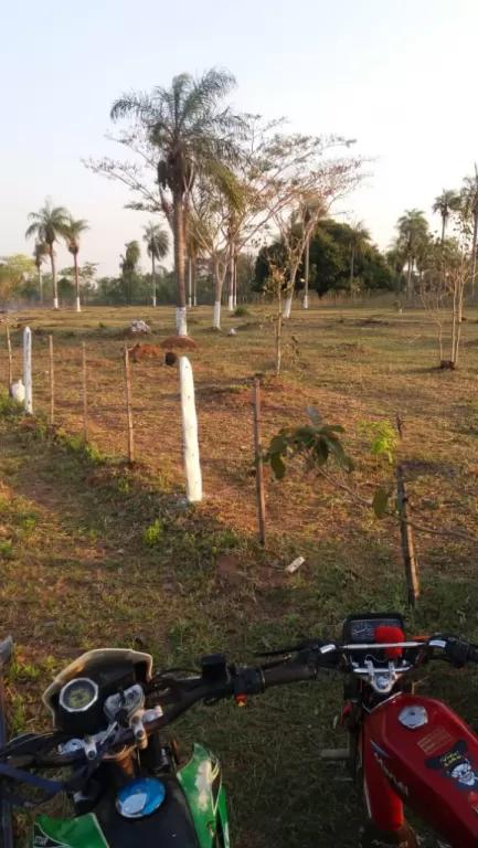 Terreno en la Ciudad de Belén — foto 2