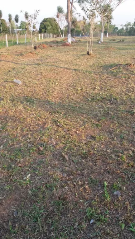 Terreno en la Ciudad de Belén — foto 3