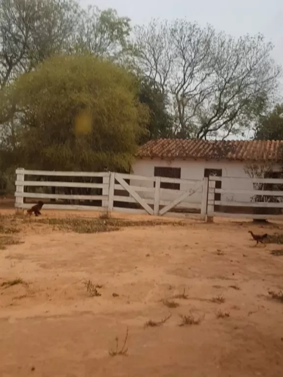 Vendo 27 htas. de propiedad — foto 2