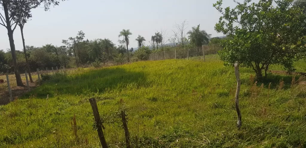 VENDO TERRENO EN CAAZAPÁ, CENTRO URBANO — foto 3