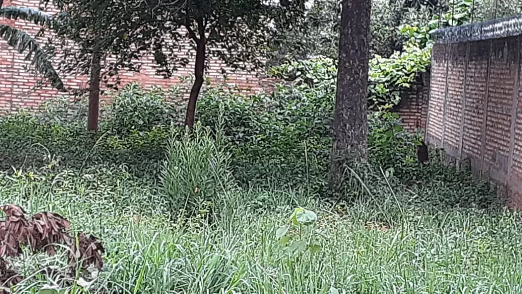 VENDO TERRENO EN LUQUE. F3184. — foto 3