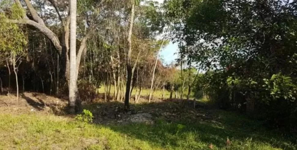 Terreno en San Bernardino — foto 2