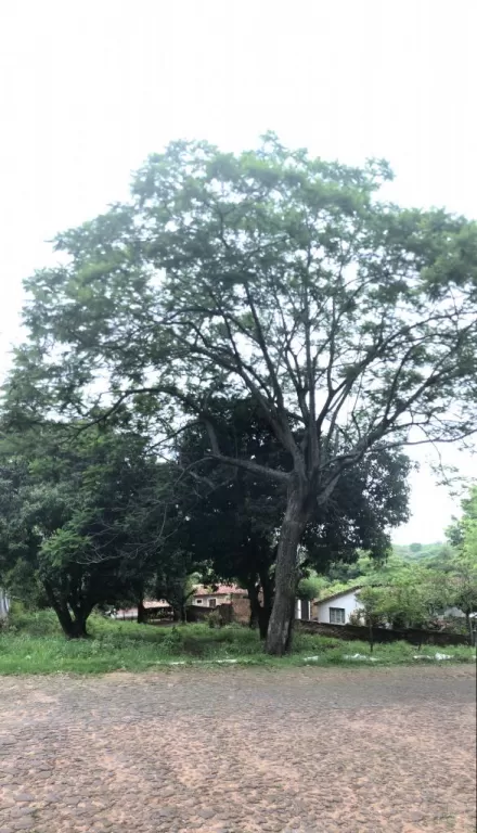 VENDO 800m2 en AREGUÁ Centro — foto 3