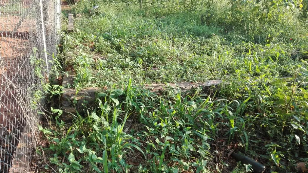 TERRENO DE CASI 600m2 MORAS CUE A PASOS DE LA RUTA LUQUE – LIMPIO — foto 2